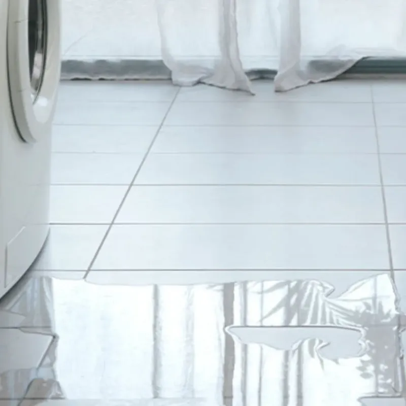 Appliance Leak Cleanup in West Wyomissing, PA