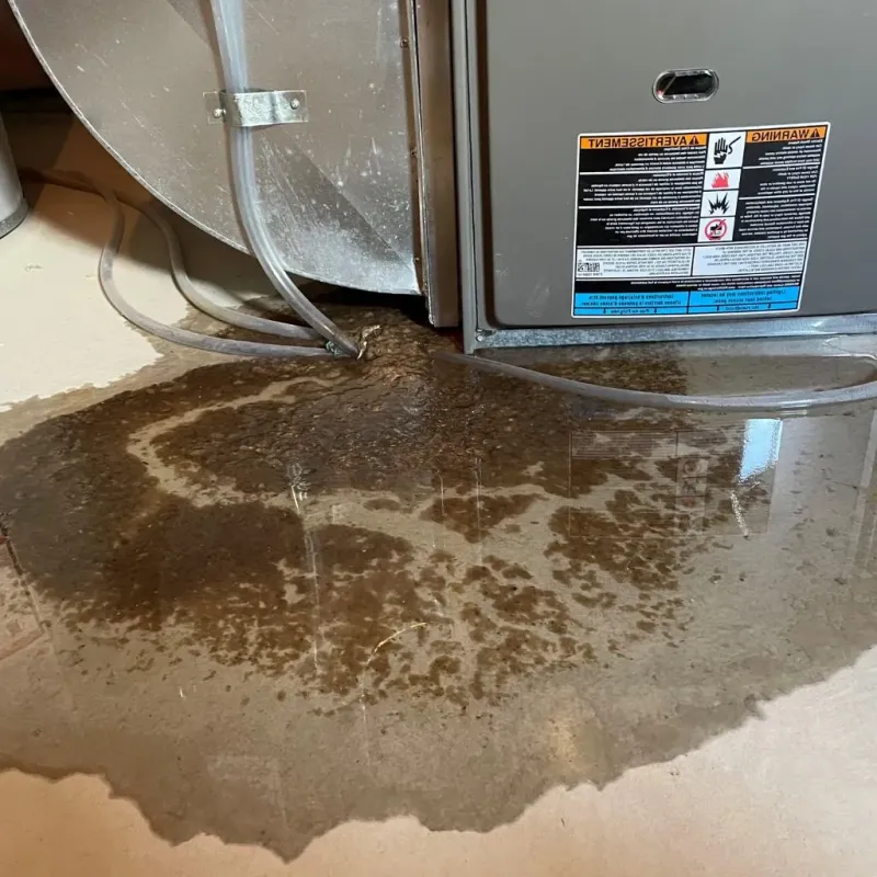 Pipe Burst and Leak Restoration in West Wyomissing, PA